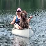 Pamela Culver - @lula.chessie - Instagram