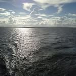 Pam Cummings - @indigofunnyfarm - Instagram