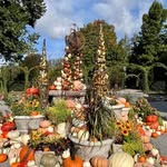Pam Currie - @pjwarcurr - Instagram