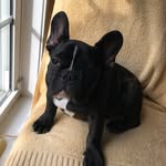 Pam Currie - @pamcinva - Instagram
