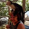Pam Pierson Currie - @pampiersoncurrie - TikTok
