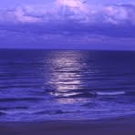 Pamela Currie - Facebook