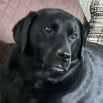 Pamela Cutler Darling - @pam61265 - Instagram