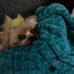 Pamela J Cutler - Facebook