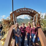 Pam Daugherty - @pamdaugherty61 - Instagram