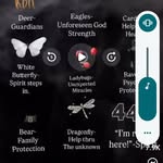 Pam Daugherty - @pamiam.panda69 - Instagram