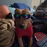 Pam Daugherty-Sharp - @pdsharp - Instagram