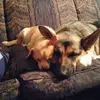 Pam Day - @pam.day76 - TikTok