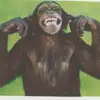 Pam Day - @pamday9 - TikTok