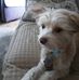 Pamela Denny - Facebook