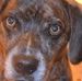Pam Dobson - Facebook