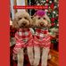 Pam Dobson - Facebook