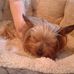 Pam Dobson - Facebook