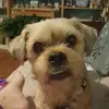 Pamela Dobson601 - @babykake3187 - TikTok