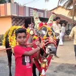 Mariyappa M Dodmani - @mariyappamdodmani - Instagram