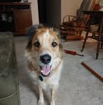 Pam Dodson - Facebook