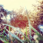 Pam Dooley - @rollartsos - Instagram