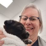 Pam Dooley - @pam.dooley.16 - Instagram