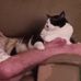 Pam Tyacke Dooley - Facebook