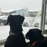 Pam Trotter Dore - @pamdore64 - Instagram