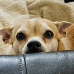 Pam Bumgarner Dougherty - @pamdough62 - Instagram