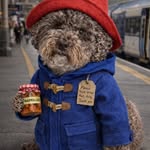Pam Burns Dougherty - @nana.mh2 - Instagram