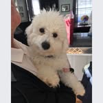 Pam Pickering Dougherty - @pampickeringdougherty - Instagram