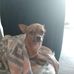 Pam Dowell - Facebook