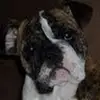 pameladowell73 - @pameladowell73 - TikTok