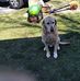 Pamela Downing - Facebook
