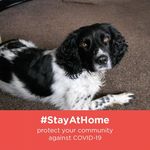 Pam Doyle - @pam.doyle.1238292 - Instagram