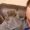 Pam Doyle - @pamdoyle79 - TikTok