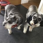 Pam Drew - @pam.drew.906 - Instagram
