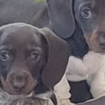 Pam Drew - @drew3732 - Instagram