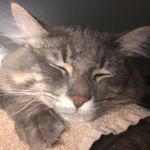 Pam Driskell - @driskell.pam - Instagram