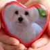 Pam Dudley - Facebook