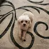 pamdudleyerickso8 - @pamdudleyerickso8 - TikTok