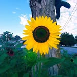 Pam Duff - @pam.duff.790 - Instagram