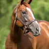 pamduff41 - @pam.duff3 - TikTok