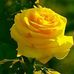 Pam Dufour - Facebook