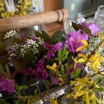 Pamela Dobos Dummermuth - @pam_dummermuth - Instagram