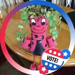 Pam Dunham - Facebook