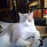 Pam Dunlap - @dunlap7664 - Instagram