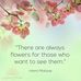 PamandDavid Dunlap - Facebook