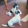 Pam Durham - @user51726572 - TikTok