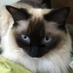 Pam Durrant - Facebook