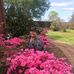 Pam Dvorak - Facebook