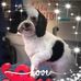 Pamela Dvorak - Facebook