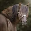 Pam Dyer715 - @pamdyer928 - TikTok
