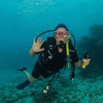 Pam Dyer - @pamdyer71 - Instagram